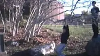 Tom and Tim having fun with a bendy branch