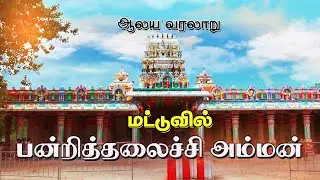 மட்டுவில் பன்றித்தலைச்சி அம்மன்| Madduvil Temple | Sri Lanka