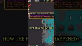 По крайней мере, это согреет нас? #dwarffortress