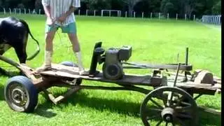 hand made grasscutter