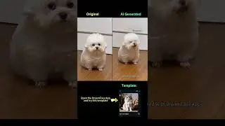 Pet lipsync using DreamFace AI template.