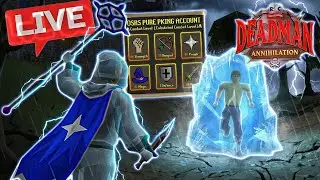 🔴The Build is FINISHED - Farming Gold/Sets to PK in OSRS DMM Annihilation!