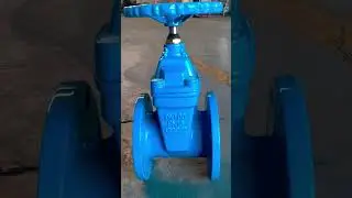 DIN3352 resilient seat gate valves #valve #valvesupplier #valvefactory
