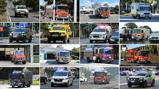 BEST OF 2024 | COMPILATION