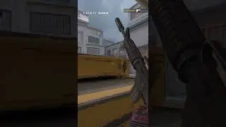 eco warrior 😎 @allstar.gg/u/sehza