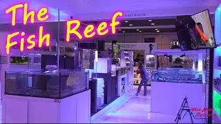 Рыбный магазин Fish Reef в Денвере, который стоит посетить