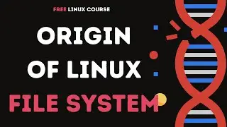 Origin of Linux File System | Lecture 6