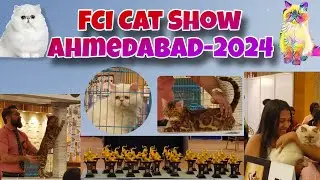 Cat Show Ahmedabad 2024, Feline Club Of India FCI Cat Show