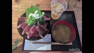 back bonito pesca in kochi prefecture 