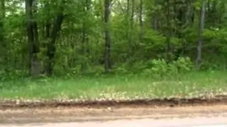 Homes for Sale - 0 West Wilke Rd Rothbury MI 49452 - Dan Zuniga