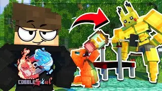 24 JAM LATIH POKEMON BEROTOT DI COBBLE SOULS