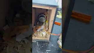 Bluetooth Install and Sound Problem Home Theatre Repair #hometheater