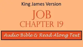 Job 19 | KJV DRAMATIZED AUDIO BIBLE WITH TEXT
