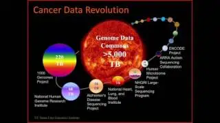 Predicting Driver Mutations Across Cancers Using Pathway Logic