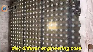 Disc diffuser engineering case~