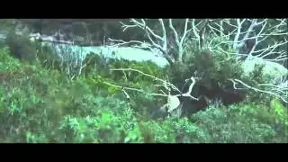 Brothaz Grimm - You Can Die Slowly (Shy One Production)