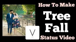 Leaf Fall Status Video | Vimage App Editing | Love WhatsApp Status Video | Tree Fall Video Editing
