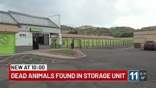 Dead animals found in Colorado Springs storage unit, police say