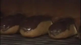 THE MAKING　（１１２）プチケーキができるまで