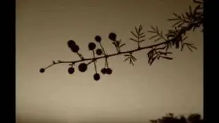 Piano Magic - The Unwritten Law