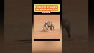 Say no to cruelty #shorts #trending #viral