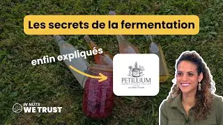 #65 Les secrets de la fermentation enfin expliqués – Andrea Decaudin – Petillum