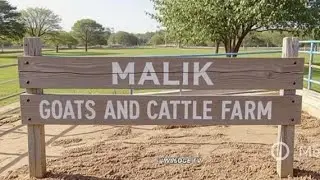 Malik goats & cattle farm  is live!