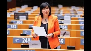 Marion Walsmann, MEP, im Pressegespr&auml;ch zu Produktsicherheit in der EU