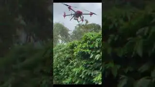 Coffee farming- drone spraying #brazil #agriculture #coffee #drone 🚁☕🧑&zwj;🌾🇧🇷