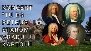 Koncert 