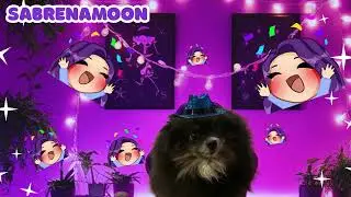 Best Small Sandbox Streamer - Chat Choice Awards 2025