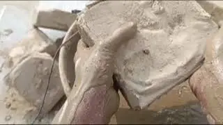 ASMR | Oddly Satisfying Pure Mud Crumbling in water