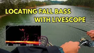 How I Locate Fall Bass with Livescope! - Fall FFS Dropshot Fishing
