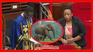 MBUNGE BAHATI NDINGO ASIMAMISHA SHUGHULI ZA BUNGE, AIBUA HOJA NZITO/ SPIKA ATOA MAAGIZO