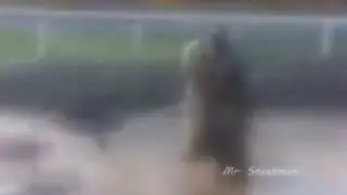 Hopski