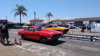 Dodges e cia Arthur graxa com mavec&atilde;o