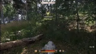 Complete a Pilgrimage to restore reputation KCD2 Kingdom Come deliverance 2