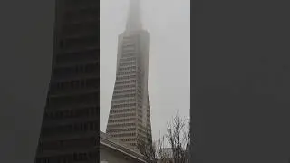 cloud car city