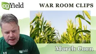 Ben Wiginton on the developing head & shoulders bottom formation in March corn | The War Room Clips