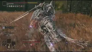 Beating Commander Gaius at 150 with only Beast Roar