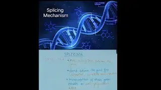 Splicing mechanism (Molecular Biology) #gentics