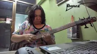 Inspiron15 vs Ibanez SR505E-SBD Passive mode
