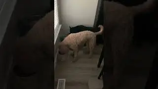 Вот это настроение.