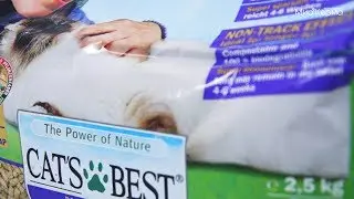 Древесный наполнитель Cat's Best nature Gold
