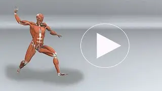 Injury Prevention & Optimal Mechanics in the Throwing Athlete | OT PT Therapy Continuing Education