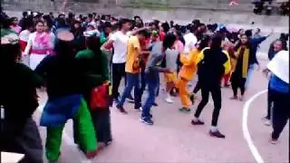Latest Kinnauri video p s s s b nager 2018