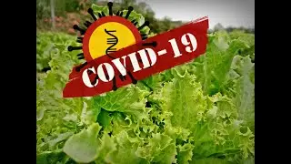 Agriculture in the wake of Covid-19