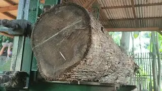 The process of turning a piece of teak wood into furniture and house frame beams 