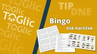 TOGlic TIP DNE #2: Bingo - tisk kartiček