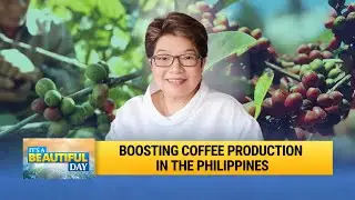 Chit Juan on the Philippines' Fight Against the Global Coffee Crisis | It's A Beautiful Day
